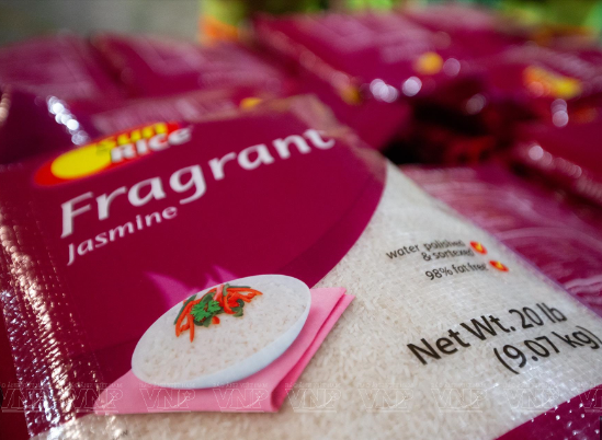 Sun Rice Fragrant Jasmine (9.07kg)