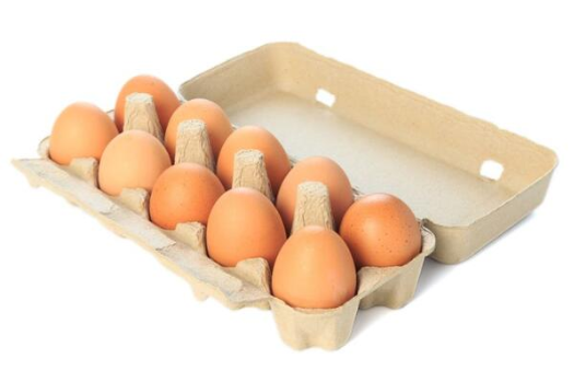 EGG FRESHER 500G MEDIUM DOZEN